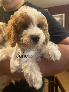 June and carter-9